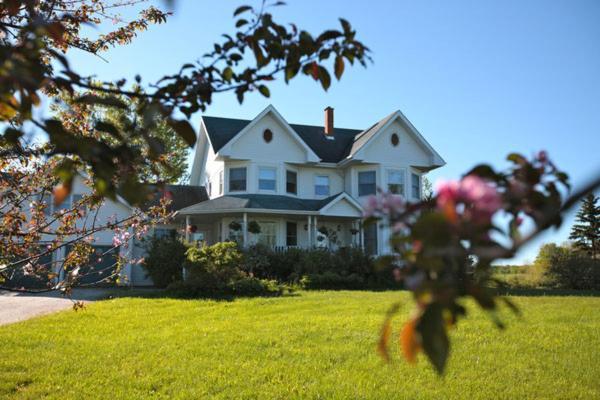 Twin Peaks B&B Mindemoya Exteriör bild